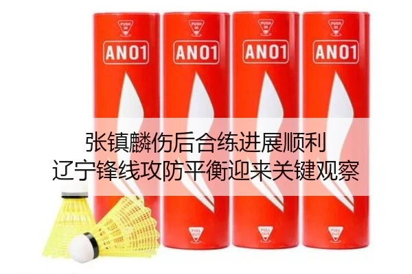 张镇麟伤后合练进展顺利 辽宁锋线攻防平衡迎来关键观察